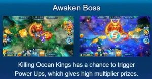 phdream-bombing-fishing-awaken-boss-phdream123