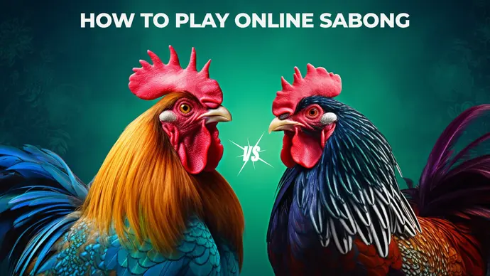 Tips for Watching and Betting on Sabong Derbies - Phdream