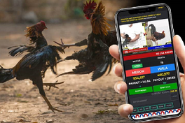 Online Sabong Mobile App - Comparing PHDREAM with Other Sabong Apps - Phdream